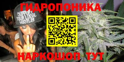 2c-b Малгобек